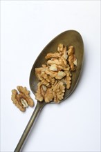 Walnut, Juglans regia, walnuts in spoons