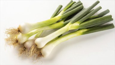 Vegetable, spring onion or spring onion, also known as winter onion, Allium fistulosum