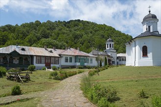 Monastery grounds with church, residential buildings and a path surrounded by trees and hills,