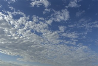 Cloud groups (cumulus), Bavaria, Germany, Europe