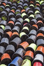 Rows of discarded tipped over blue, red, black and lime green plastic containers on the ground with