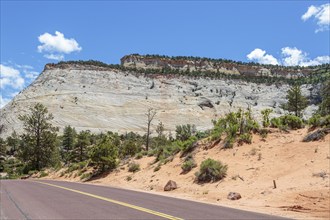 Patterns of erosion on the rocky mountainside along the Zion Park Boulevard in Zion National Park,