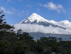 Clouds and forests on the snow-covered Osorno volcano, Chile, South America