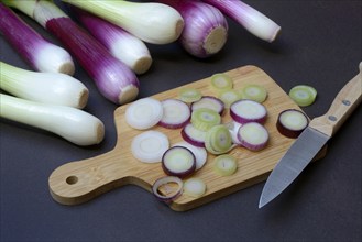 Spring onions and onion rings with a knife on a wooden board, spring onion