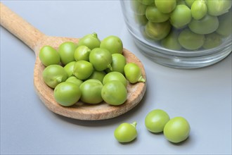 Fresh green peas in wooden spoon, Pisum sativum