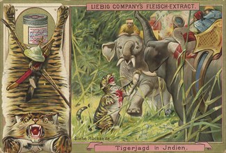 Picture series Hunting, Tiger hunt in India, Liebig picture, digitally restored reproduction of a