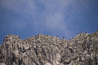 Numerous climbers on the Hindelanger via ferrata, Oberstdorf, Allgäu, Bavaria, Germany, Europe