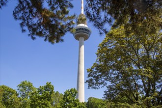 Telecommunications tower in Mannheim