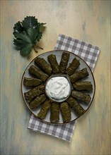 Dolma, cabbage rolls in grape leaves, Traditional Armenian dish, with white sauce, top view,