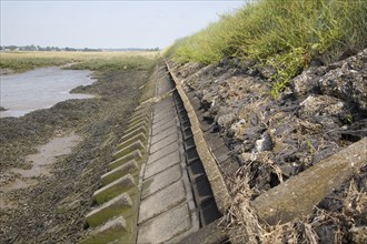 Flood protection dyke, River Deben, Sutton, Suffolk, England, United Kingdom, Europe