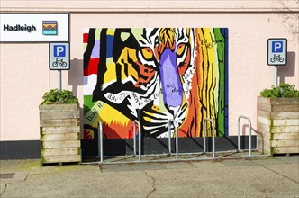 Tiger street art mural on wall of Suffolk Building Society office, Hadleigh, Suffolk, England, UK