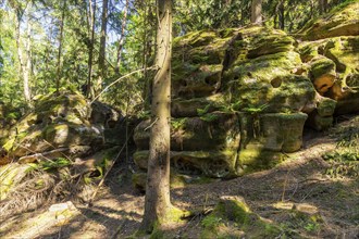 The Nikolsdorf Walls are a rocky area in Saxon Switzerland. Nikolsdorf, Saxony, Germany, Europe