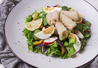 Salad of squid and vegetables, with egg, homemade, no people