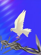 Symbolic image, dove of peace, peoples, international understanding, peace, threat of war, freedom,