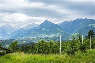 Orchards nestled in the picturesque Alpine landscape above Merano in the municipality of Scena,