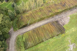 Aerial view of a timber yard, tree trunks get conservated by sprinkling water on the wood, Germany,