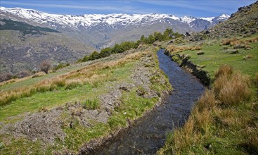 Water channel for irrigation known as an acequia, Sierra Nevada Mountains in the High Alpujarras,