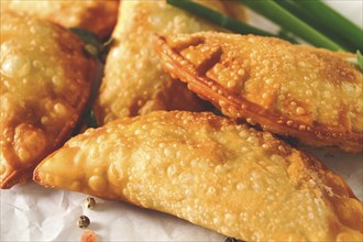 Fried chebureks, close-up, on a light background, no people