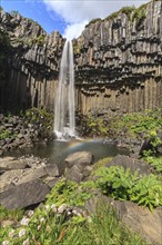 Waterfall, basalt columns, summer, sunny, rainbow, gorge, Svartifoss, Skaftafell National Park,