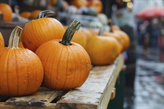 Many orange pumpkins on wooden racks at market. Generative Ai, AI generated