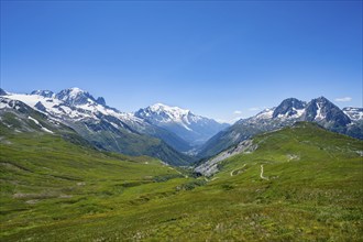 Flower meadow and mountain panorama with glaciated mountain peaks, view of Aiguille du Midi and