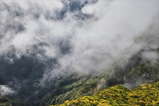 Aerial drone view of Curral das Freiras village from Miradouros do Paredao with blooming yellow