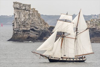 Large traditional sailing boat in a bay on the Atlantic during the Camaret sur mer sailing festival