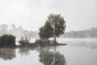 Kressler fishing pond in the morning mist, Arnstadt, Thuringia, Germany, Europe