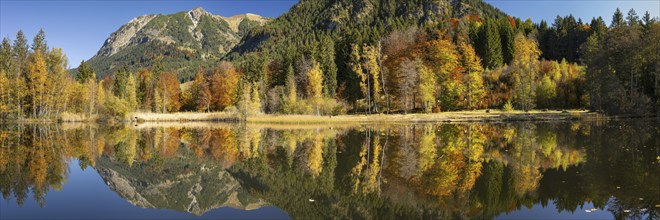 Rubihorn, 1957m, Gaisalphorn, 1953m, and Schattenberg, 1845m, water reflection in the moor pond,