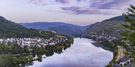 Zell an der Moselle, Merl Mosel district, Cochem-Zell district, Rhineland-Palatinate, Germany,