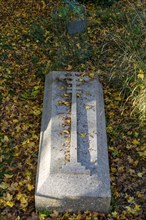 Grave of poet Edward Fitzgerald 1809-1883, church of Saint Michael, Boulge, Suffolk, England, UK