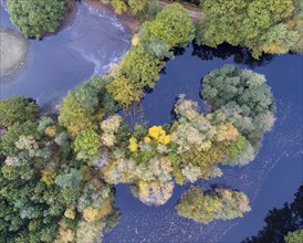 Mixed forest in autumn, colouring, aerial view, forest, autumnal, Ahlhorn fish ponds,