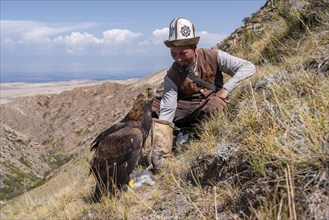 Traditional Kyrgyz eagle hunter hunting with prey, near Kysyl-Suu, Issyk Kul, Kyrgyzstan, Asia