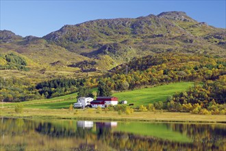 A house surrounded by autumn-coloured hills and forests, reflected in a calm lake, Vestvågøya,