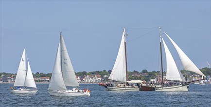 Sailing ship Elegant, sailing boats, Laboe, Kieler Woche, Kiel Fjord, Kiel, Schleswig-Holstein,