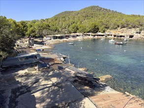 Small harbour with white boats in front of a wooded hilly landscape and clear water, Sa Caleta,