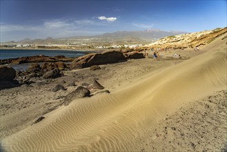 The beach Playa La Tejita near El Medano, Granadilla de Abona, Tenerife Island, Canary Islands,