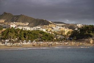 The beach Playa del Duque, Costa Adeje, Tenerife, Canary Islands, Spain, Europe