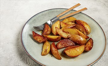 Fried potato slices, on a plate, top view, homemade, no people