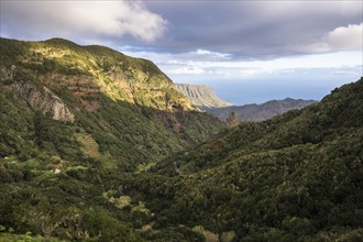 View of the valley of Hermigua and the sea. Mountains, hillsides with forest, palm trees, rocks.