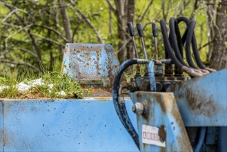 Close-up of a rusty blue machine in front of green nature, Wald im Pinzgau, Salzburg, Austria,