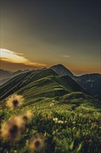 Hiking tour on the Hönig mountain in the Lechtal valley near Berwang in Tyrol, Austria, Europe