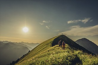 Hiking tour on the Hönig mountain in the Lechtal valley near Berwang in Tyrol, Austria, Europe