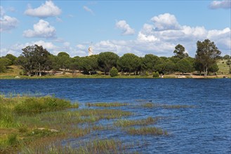 An idyllic lake with trees and blue water, framed by greenery and a sky with white clouds,