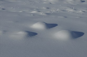 Soft snow cover with gently curved elevations in winter light, Styria