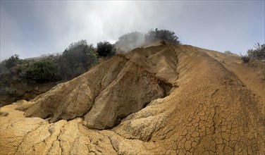 Clouds of fog, yellow earth, erosion, near Arguamul, La Gomera, Canary Islands, Spain, Europe