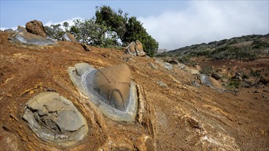 Close-up, stone, erosion, near Arguamul, La Gomera, Canary Islands, Spain, Europe