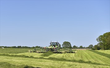 Tractor with rake harvesting grass, Schleswig-Holstein, Germany, Europe