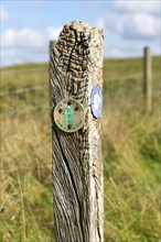 Wooden post sign waymark Mid Wilts Way, White Horse Trail, Martinsell Hill, Wiltshire, England, UK