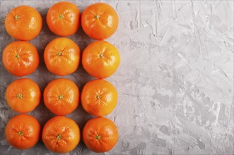 Rows of tangerines forming a rectangle on a gray concrete background, top view, flat lay. copy